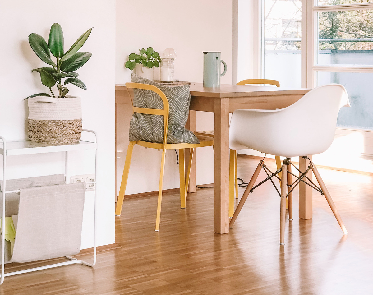 Фотография: Charlota Blunarova (Unspalsh)