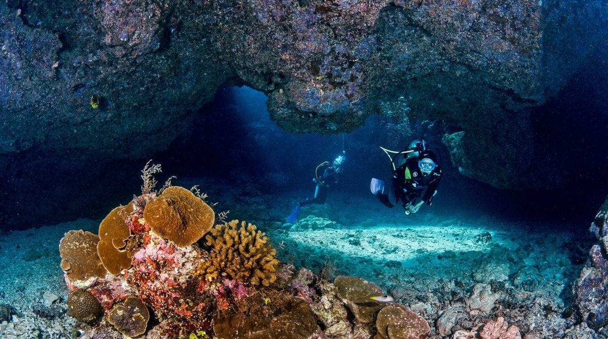 Фото: equatorial.by