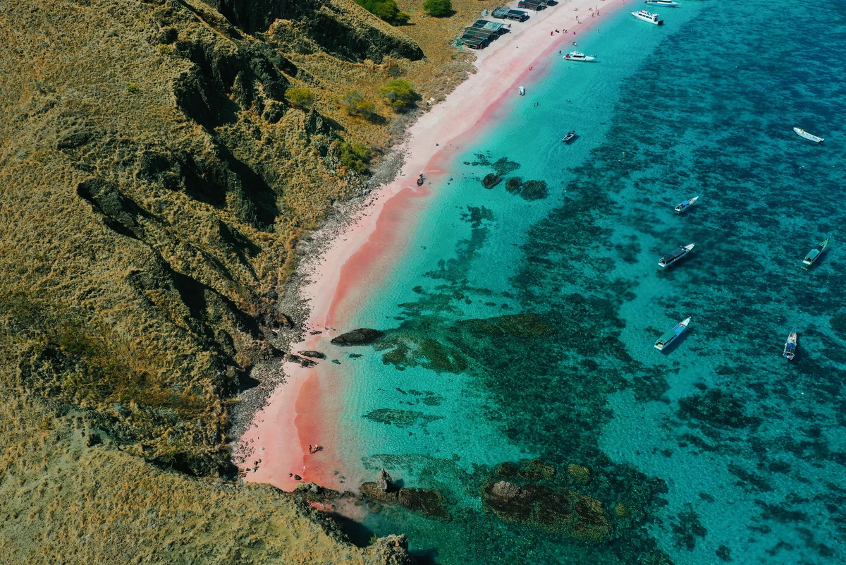 Розовый пляж. Фото: Việt Nam