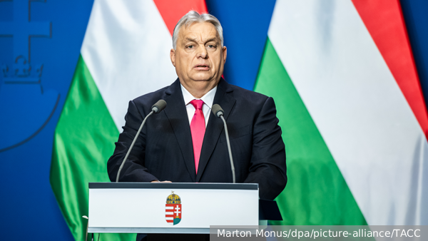     Фото: Marton Monus/dpa/picture-alliance/ТАСС   
 Текст: Тимур Шайдуллин