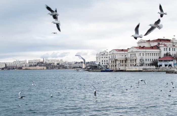 Обложка © Shutterstock / FOTODOM / Kornienko_O