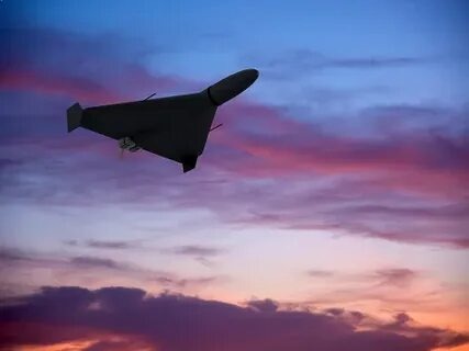 Герань в ночном небе. Фото в открытом доступе.