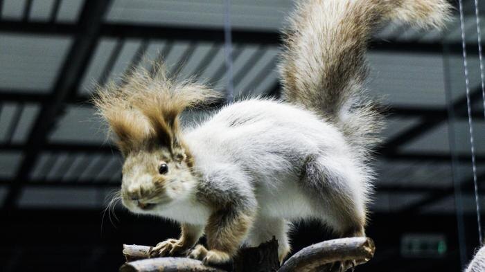 Обложка © Shutterstock / FOTODOM / Maria Kuchina