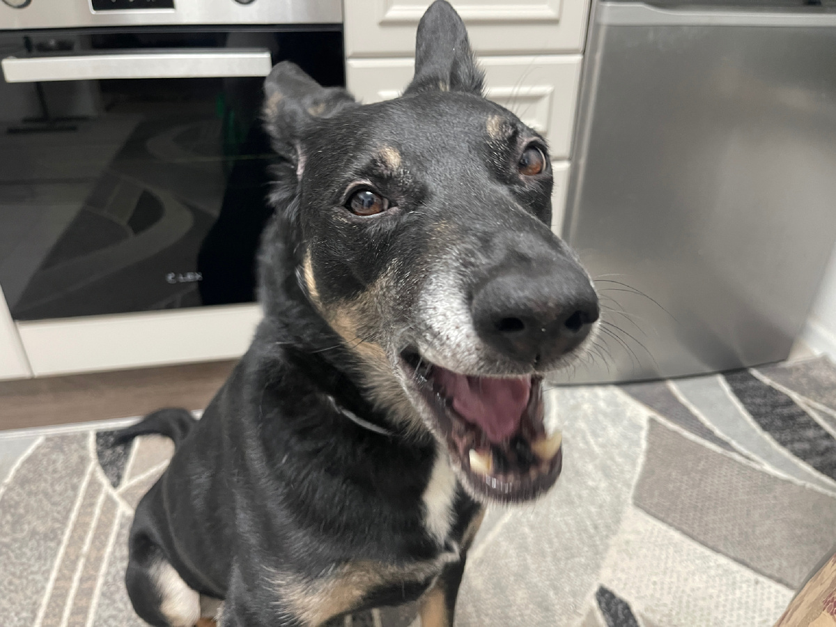 Блин, Миша! Ну что это за фото! Что ты тут пытался снять?! И зачем, блин, оставил?! 🤬 Гениальный фотограф, блин! 