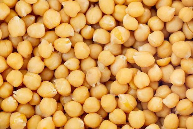    Фото: lenta.ru Максим Левин