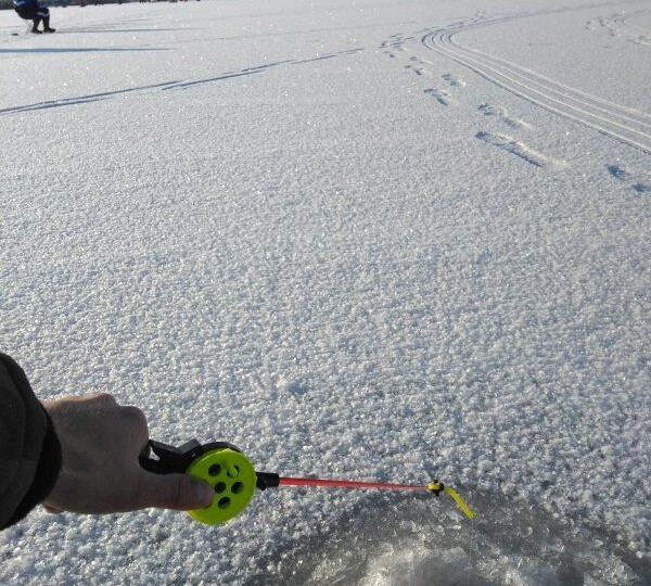 Прозрачная незаметна, яркая удобна, но поклёвок вдвое меньше: какой цвет лески работает зимой