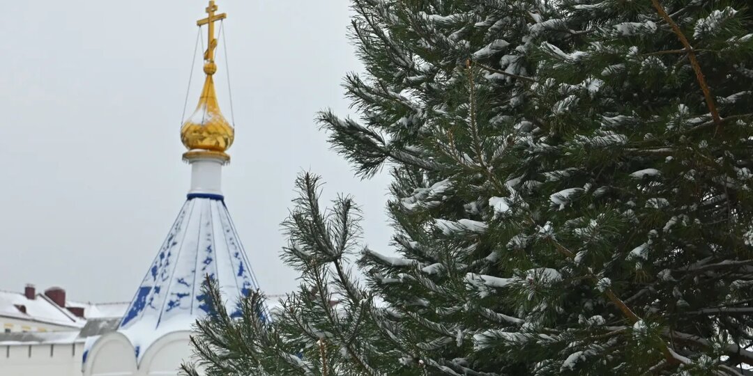 Вандализм ради искусства: создателям "Жуков" грозит уголовка