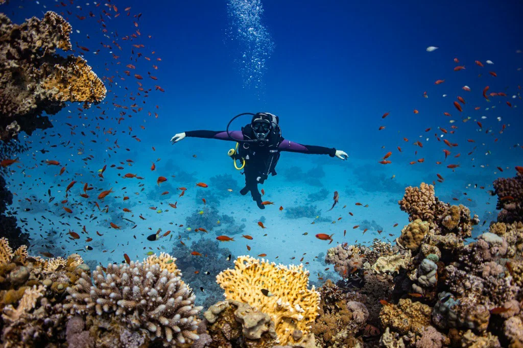 Фото: Юлия С.