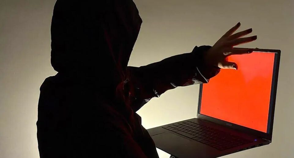    REGIONS/Полина Крачун