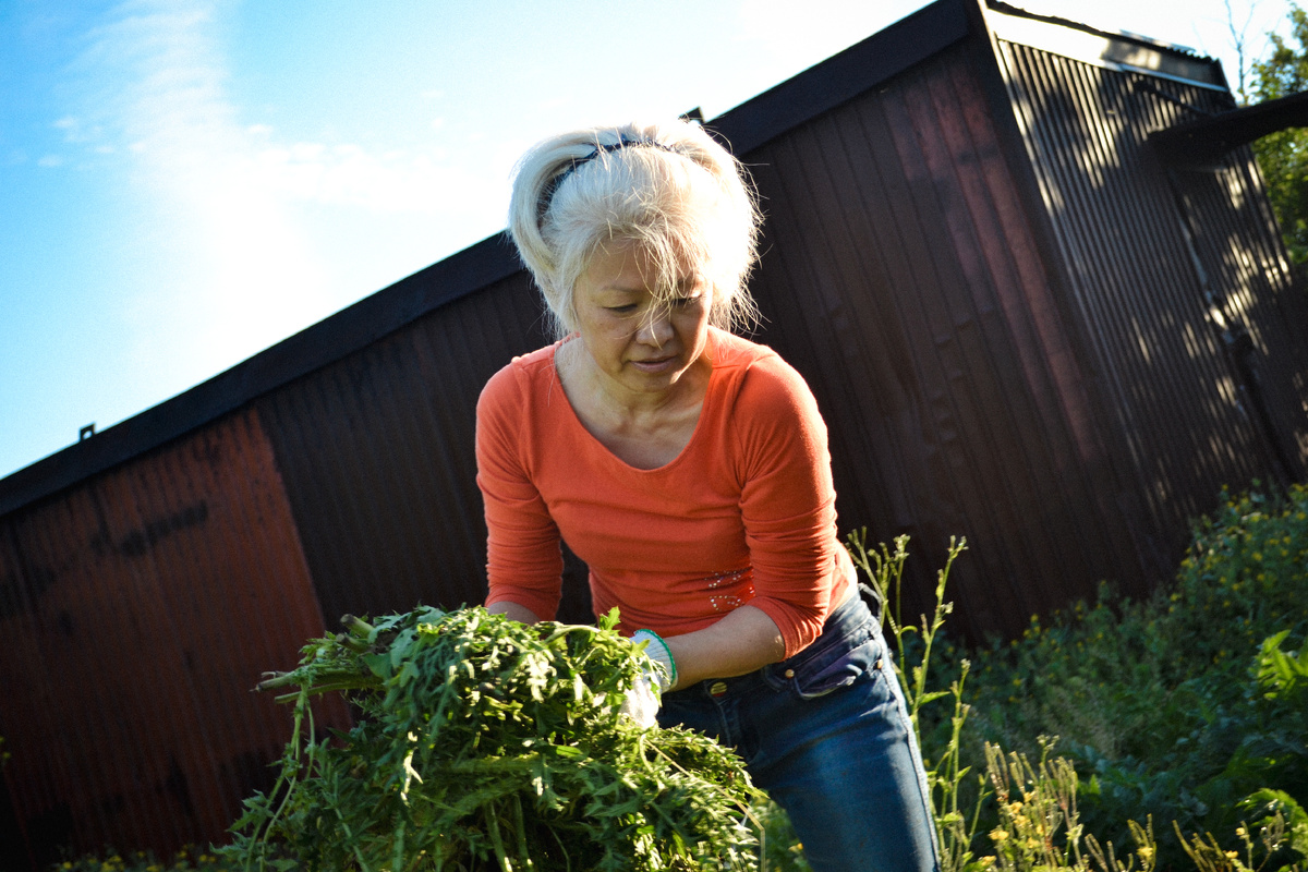 9 лет назад, Лия на дачном участке на фоне того самого контейнера. На нашем участке я бы тоже от такого не отказался