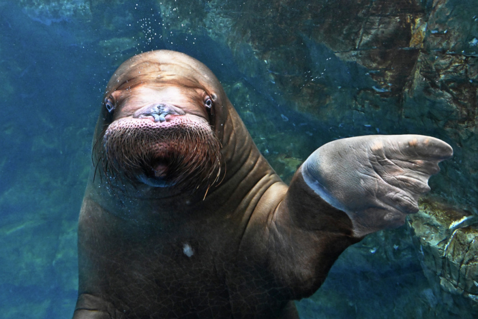    Виталий Аньков/РИА Новости