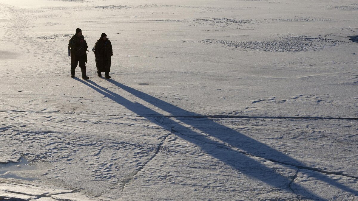    Фото: Zamir Usmanov/Global Look Press