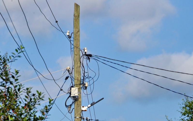 Фото: Владимир Солдатов