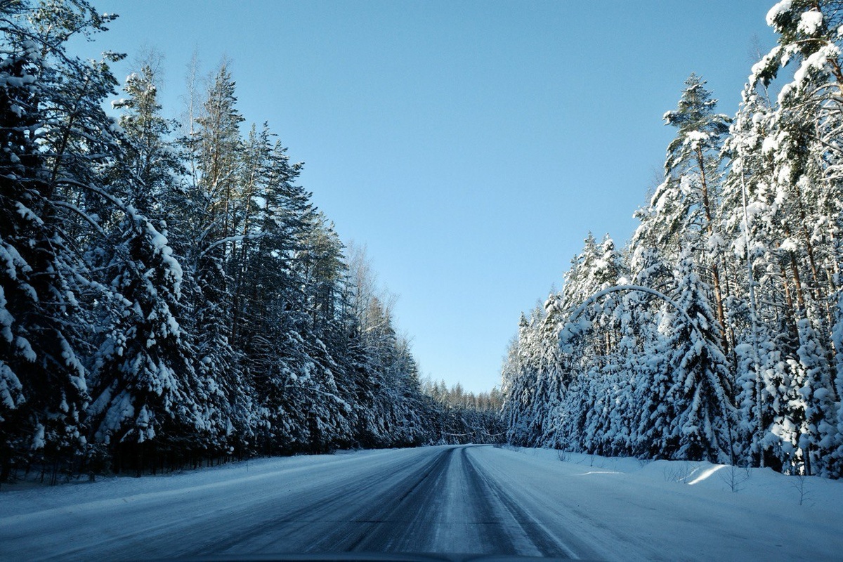 Фото канала "Запертая История"