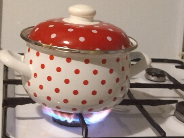     В Чудовском округе провели газ в деревню Лука-2. фото: архив МК в Великом Новгороде