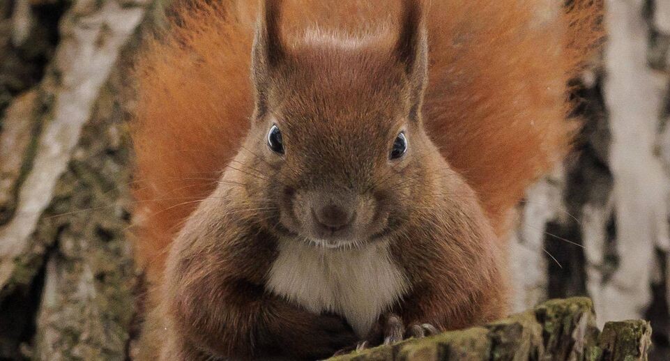    Kira Hofmann / www.globallookpress.com