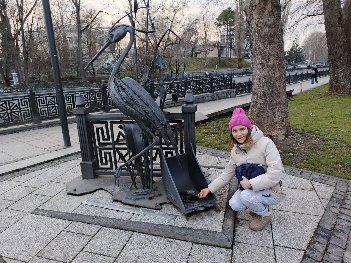 Цапля Сима на набережной реки Салгир. 