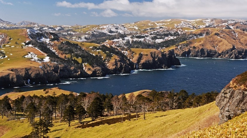   РИА Новости Андрей Зима