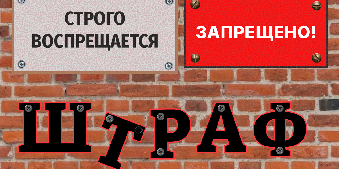 Всё запрещено. Чем же теперь заняться депутатам Госдумы IX созыва?