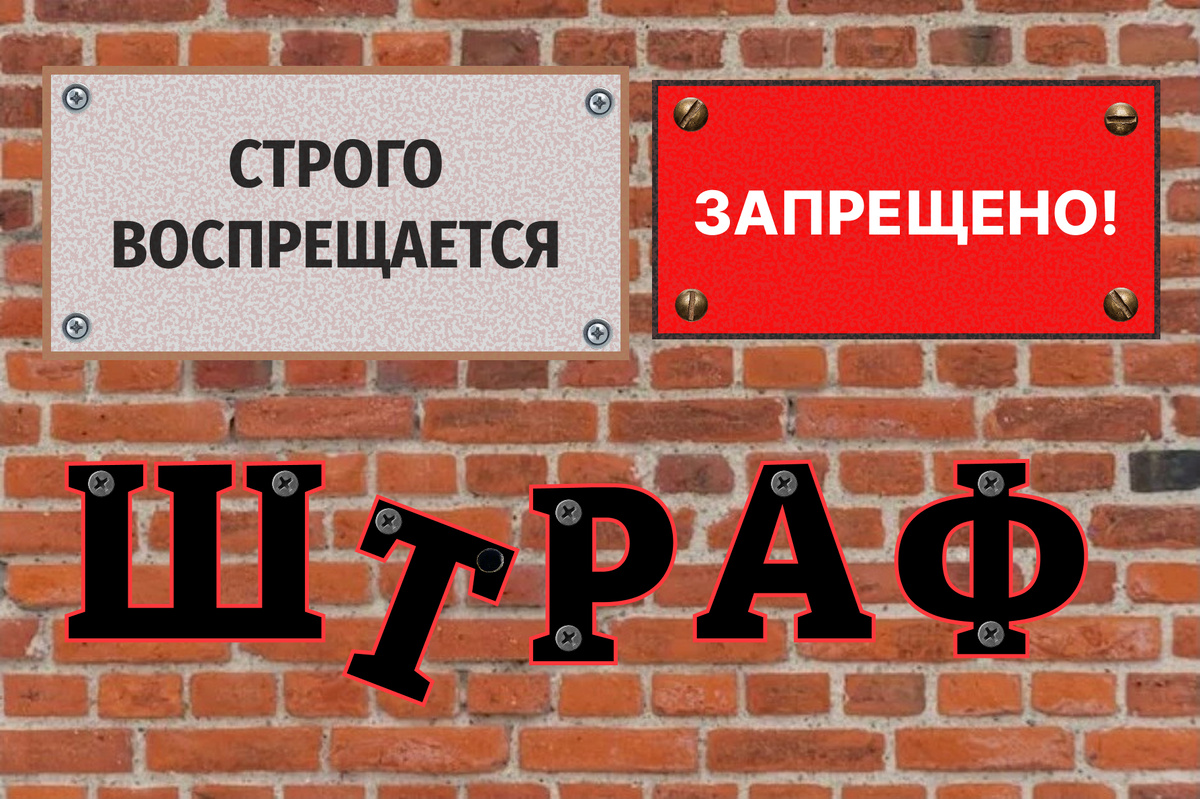 Рисунок автора