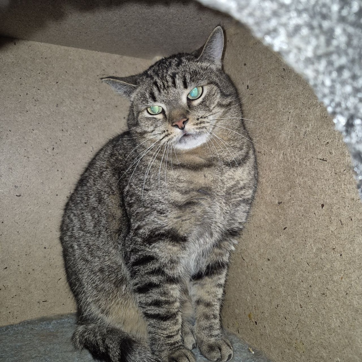 И снова я в домике!