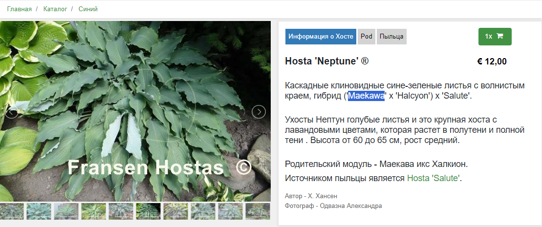 Вот так он должен выглядеть в перспективе.