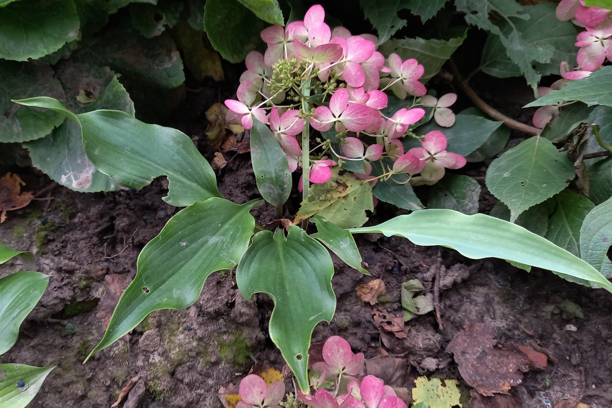 Вот так Neptune выглядел в 2024 году. В сезоне 2025 года картинка была еще печальней. Листай!