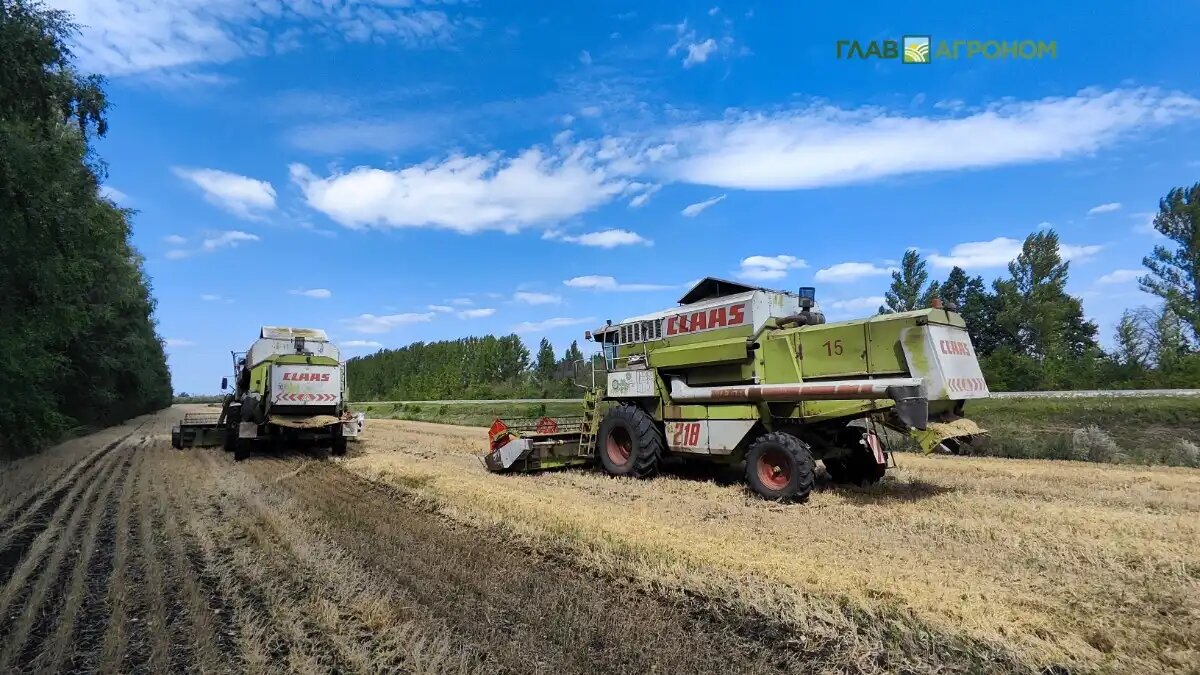 Фото:© Артем Борисов / Glavagronom.ru
Депутаты внесли в Госдуму законопроект об усилении контроля за оборотом зерна