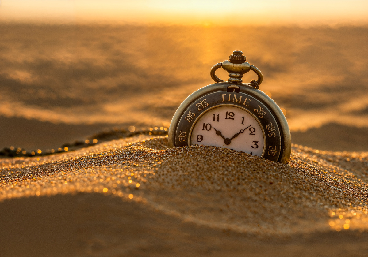 Фото с сайта: https://ru.freepik.com/