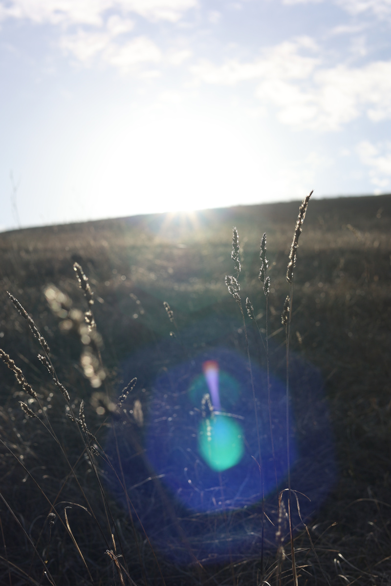 в сопровождении Солнца