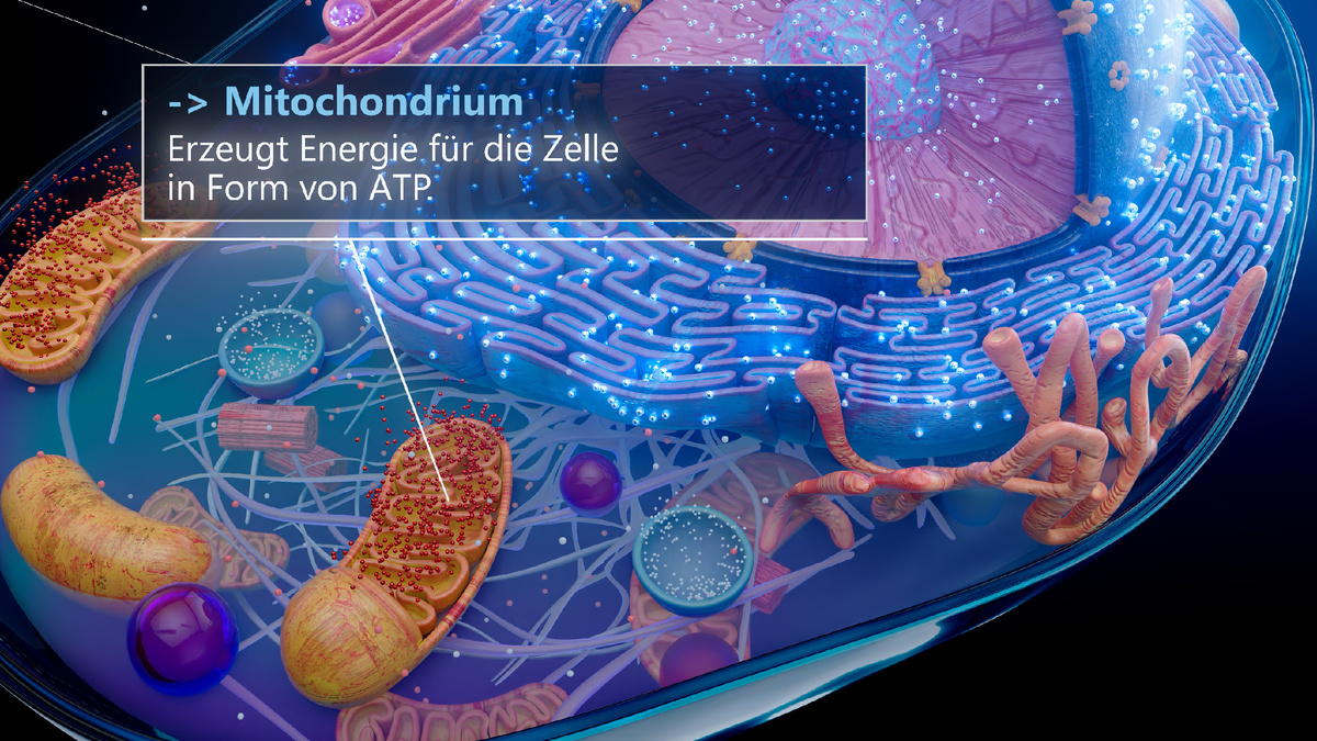 Изображение от julos/Freepik