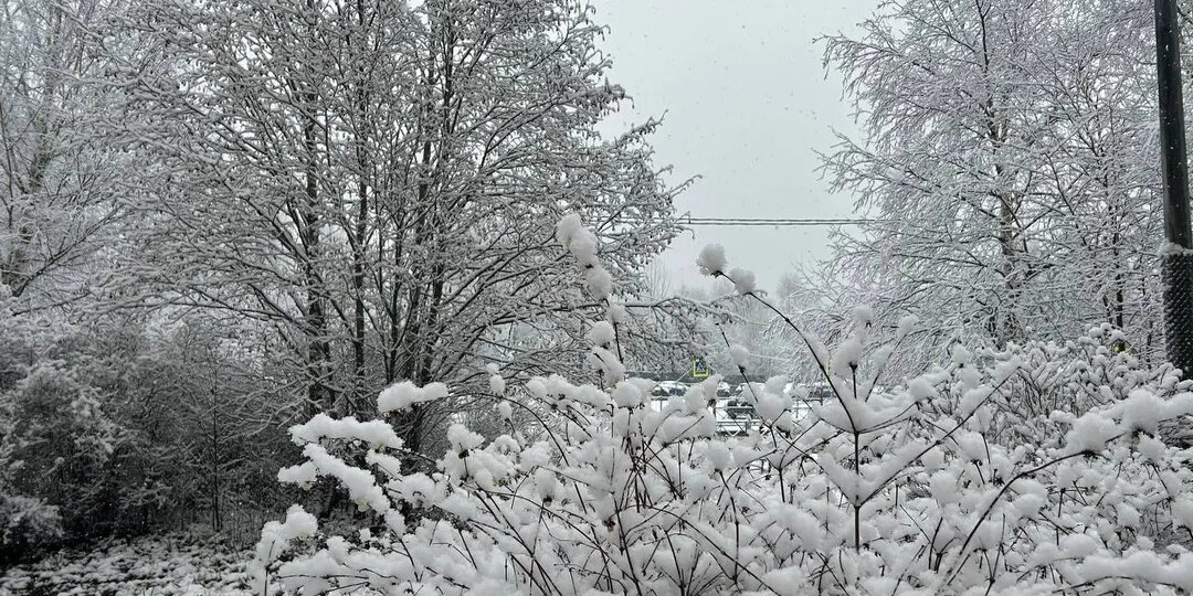 В Петербурге объявлен «желтый» уровень опасности из-за морозов