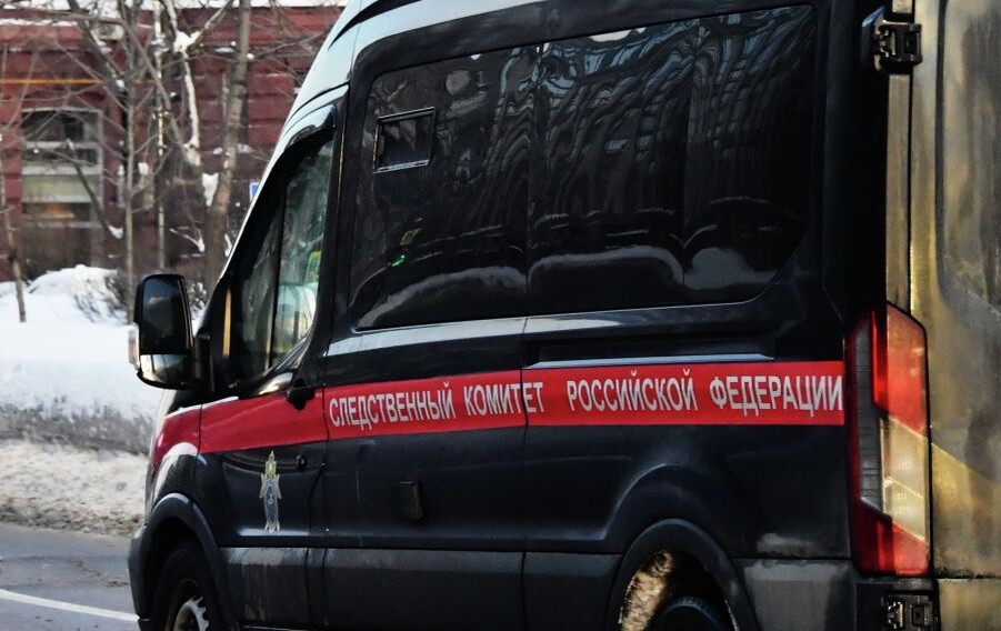     / Источник: © Наталья Селиверстова/РИА Новости