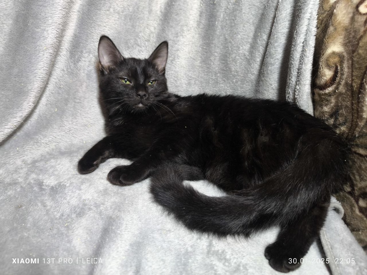 его сестренка