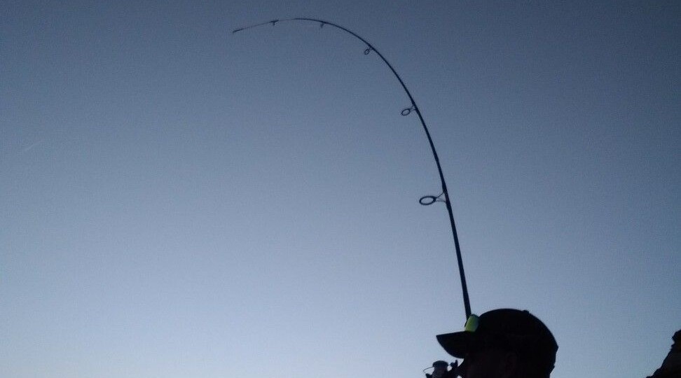 Швыряние вместо плавного заброса, скрип углепластика, боль в плече: пять проблем перегруженного фидера.