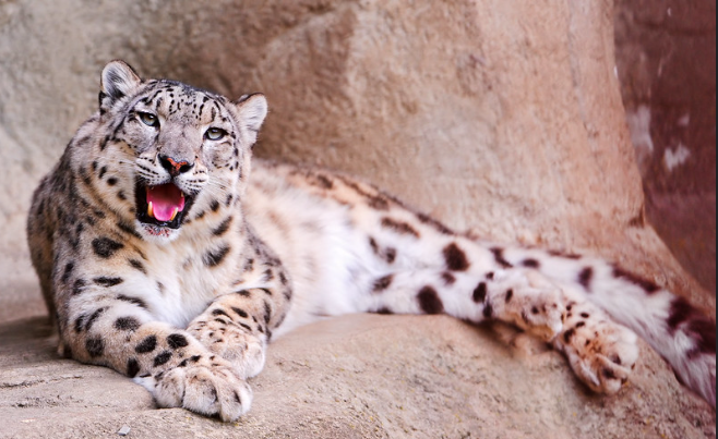 5 лайфхаков, как снять стресс в пятницу вечером