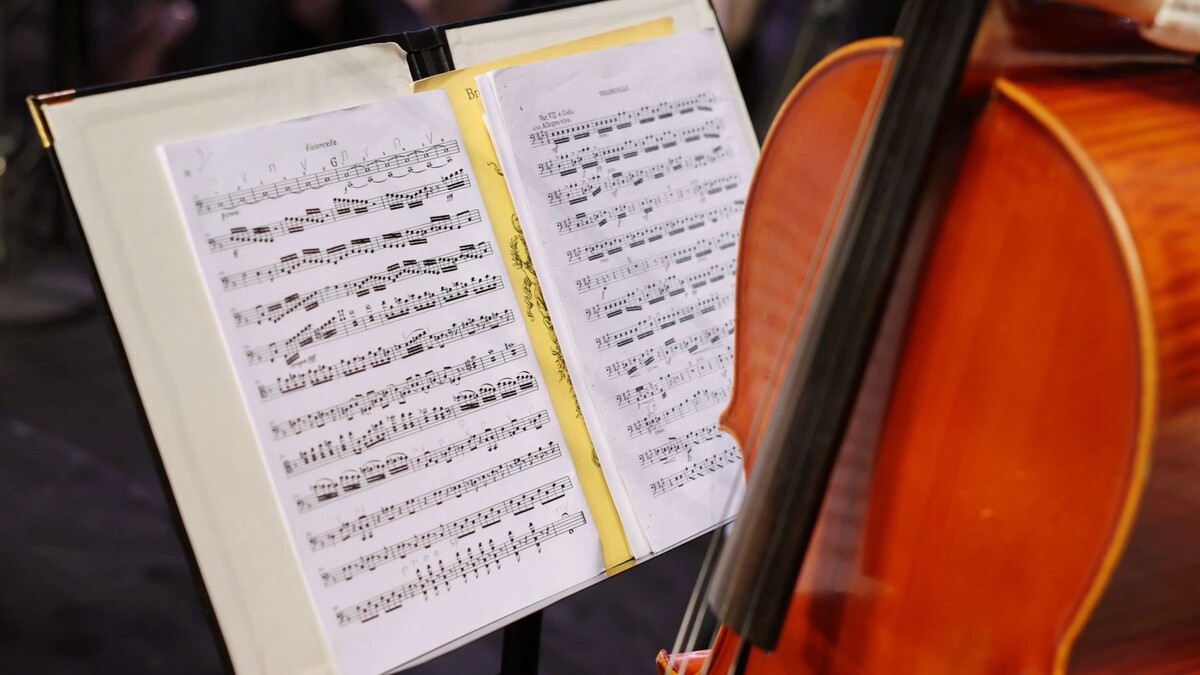    Фото: Андрей Ткачев/«Ямал-Медиа»