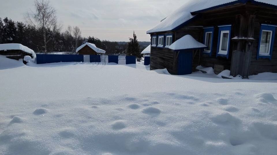 До тетеревов не дошел, улетели зато как погулял