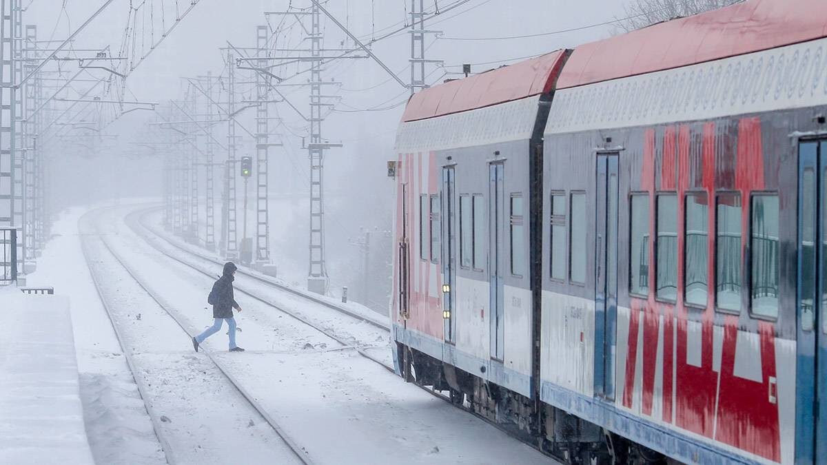    Фото: Василий Кузьмиченок / АГН Москва
