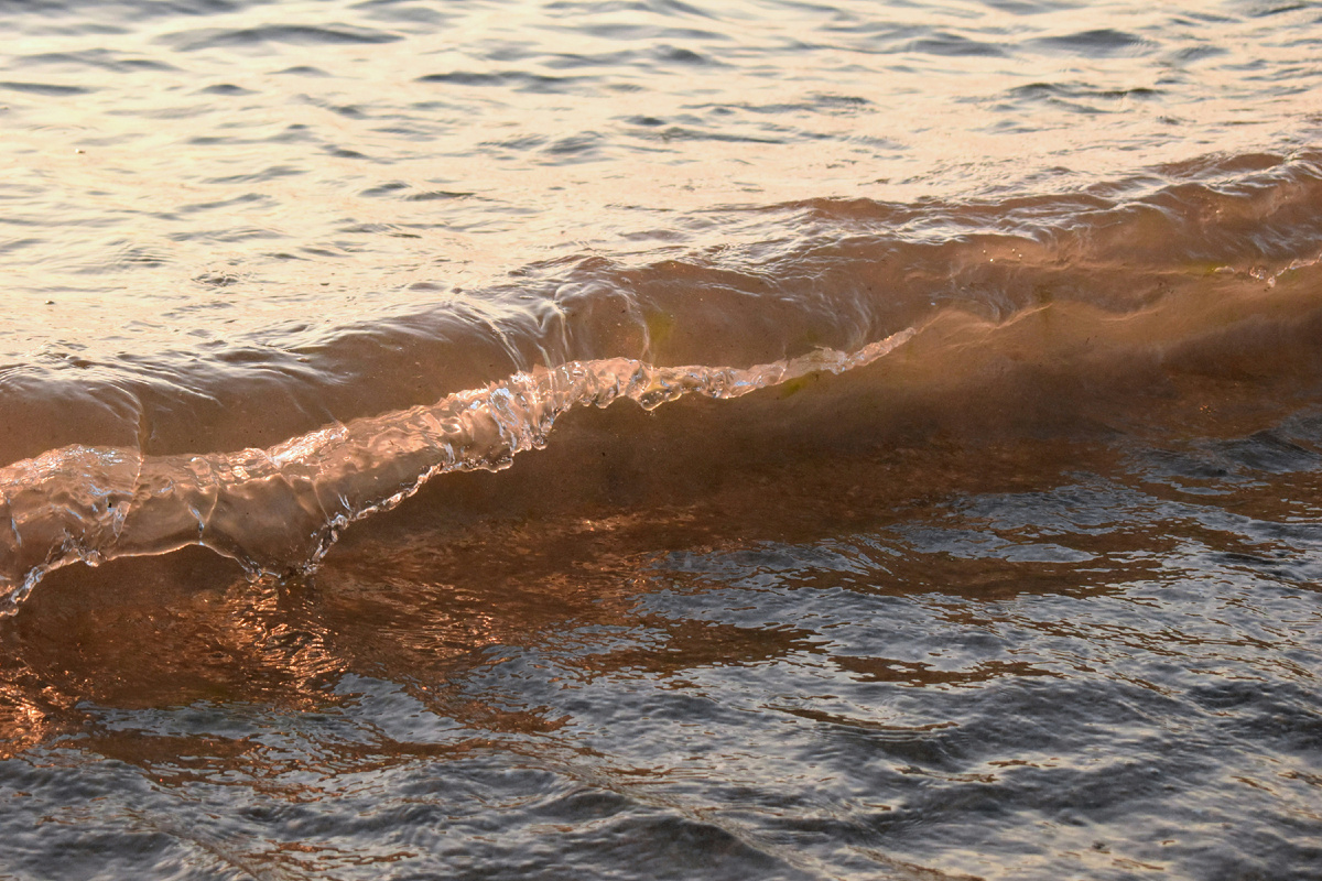 Автор фото Polina Grishma на Unsplash