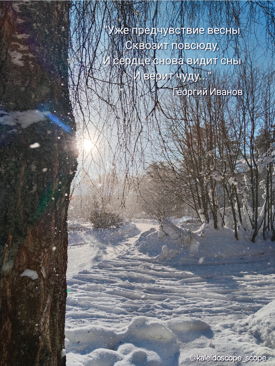 Если приглядеться к картинке, там солнца лучики, и даже тени падают как-то по-весеннему — будто сам февраль подмигивает: «Потерпите немного». Фото автора.