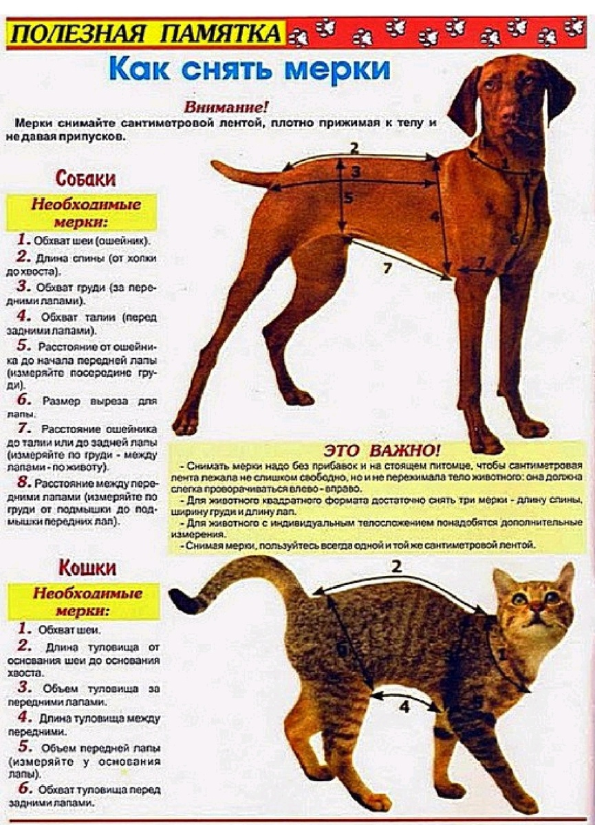 Мерки снимать обязательно. Без этих мерок вы ничего не сошьете. 