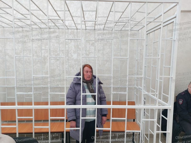     Объединенная пресс-служба судебной системы Курской области