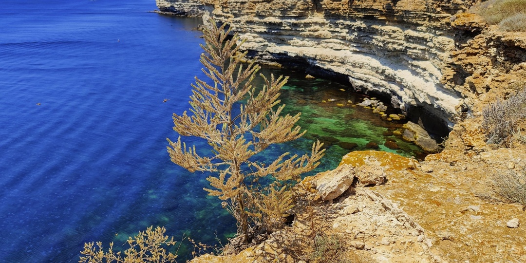 Оленевка и мыс Тарханкут. Прозрачность воды поражает уже с первых шагов по каменистому берегу.