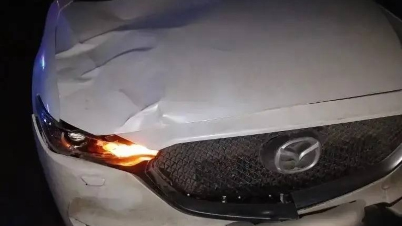      Фото: УГИБДД по СК