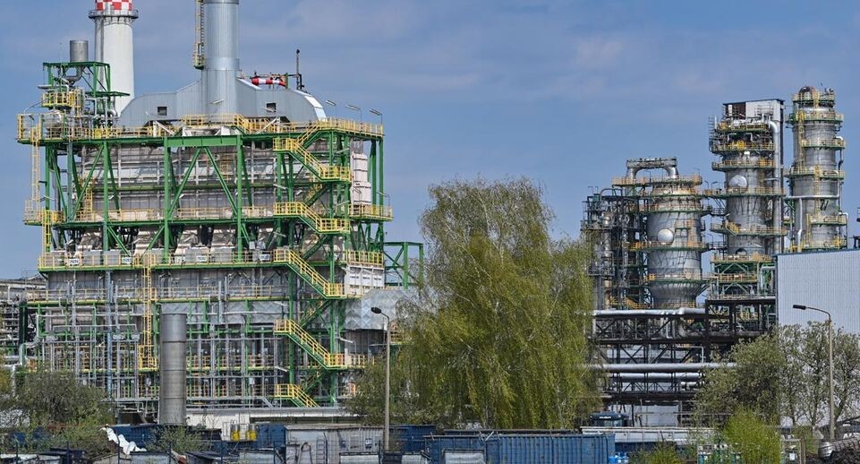    Patrick Pleul/dpa / www.globallookpress.com