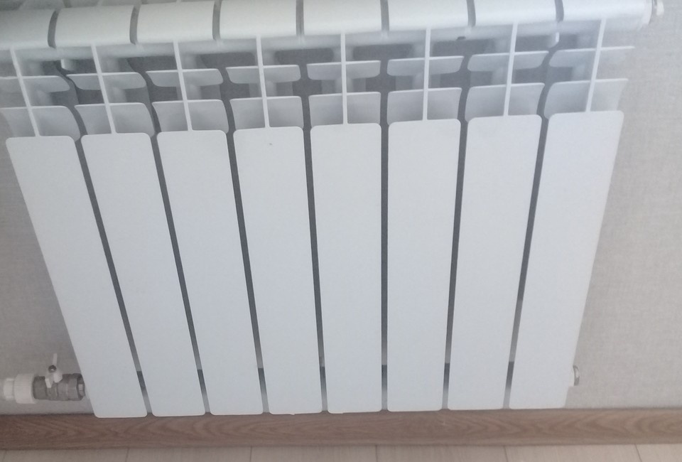    По словам главы БТК, мощностей на горячее водоснабжение и на отопление, к сожалению, не хватает. Алексей СЕРГУНИН