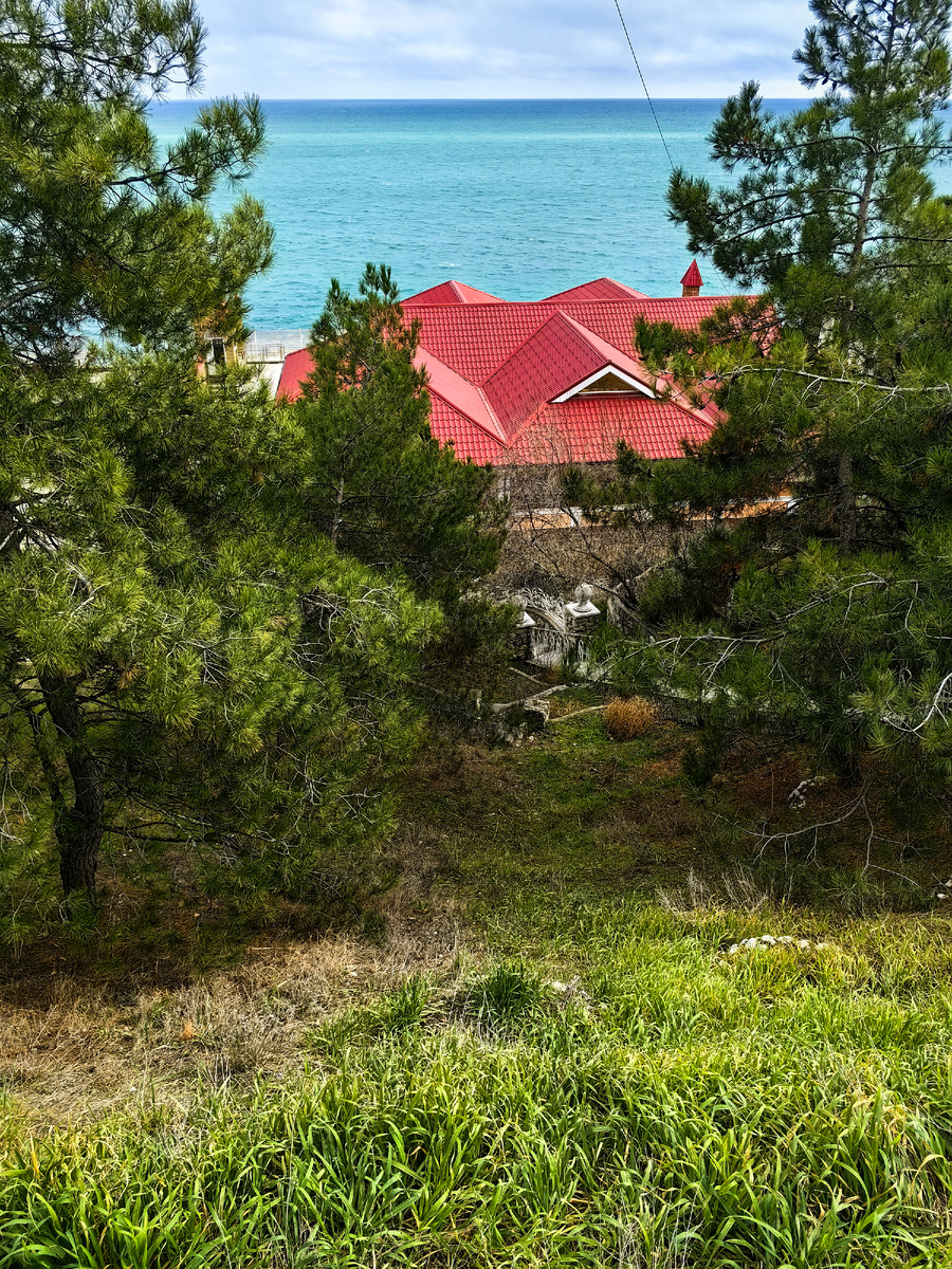 Вчера. Фото автора канала