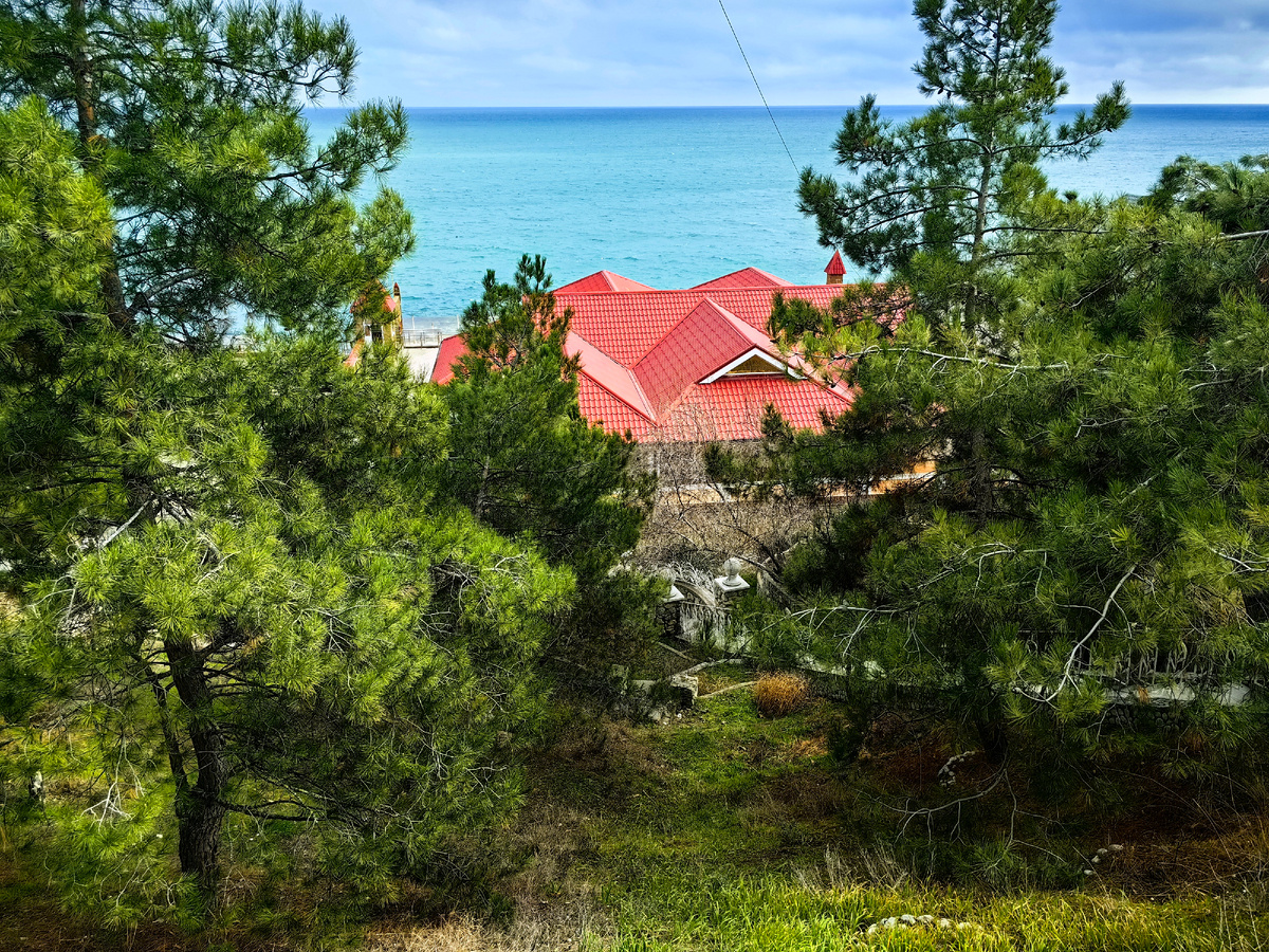 Вчера. Фото автора канала