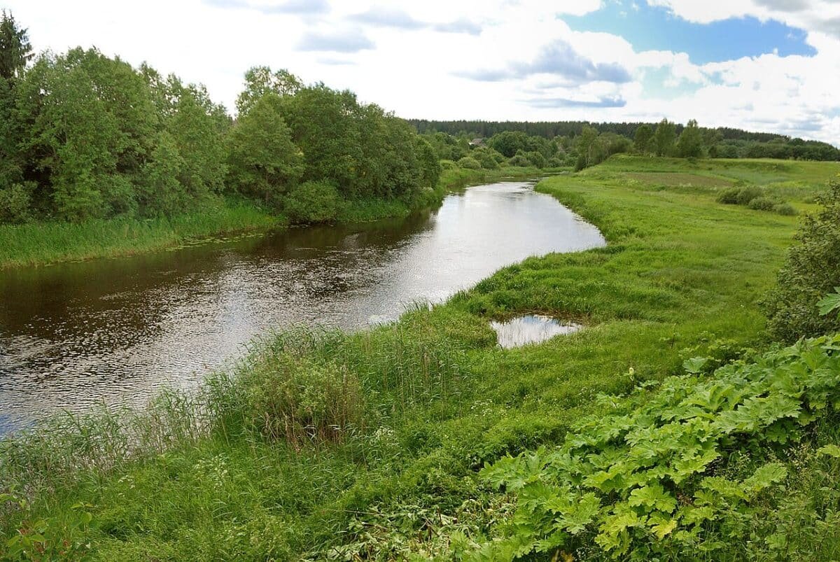    Река Торопа в Тверской области / © Lite, Wikipedia